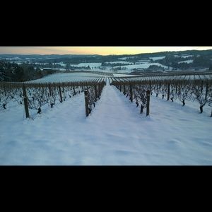 Meet your Posher, Epi